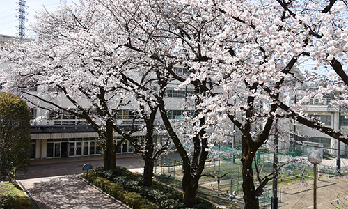 多様な進路実現に繋がる指導の写真