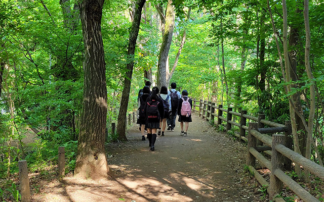 通学路沿いの玉川上水の写真