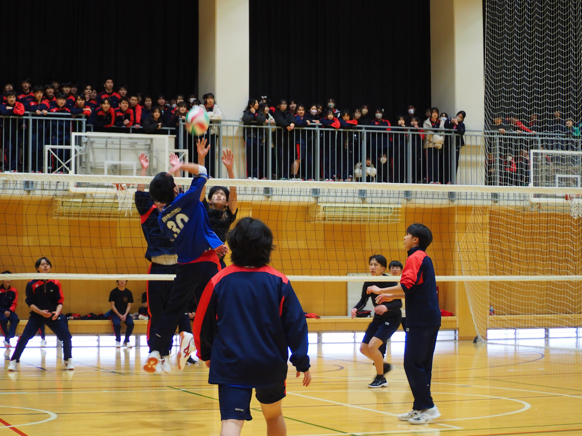 P3191031.JPG