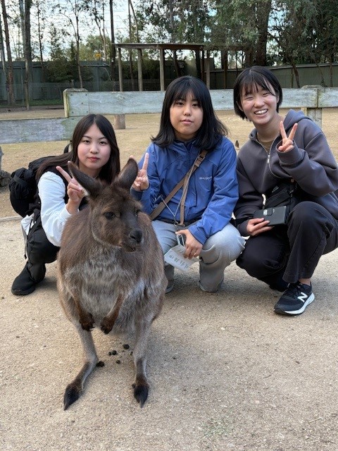ウヌーナ派遣32