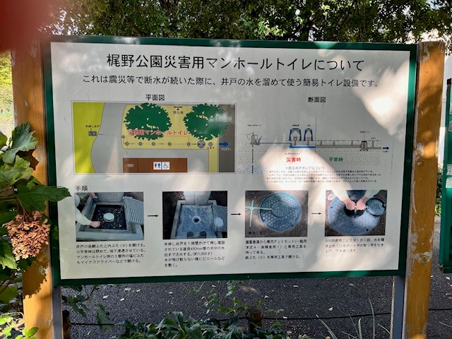 ボラ部３