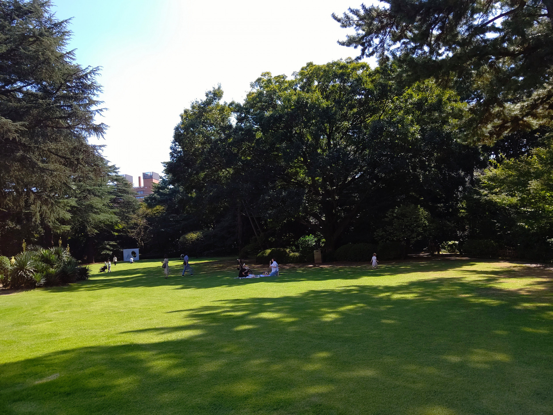 A科校外学習３.JPG