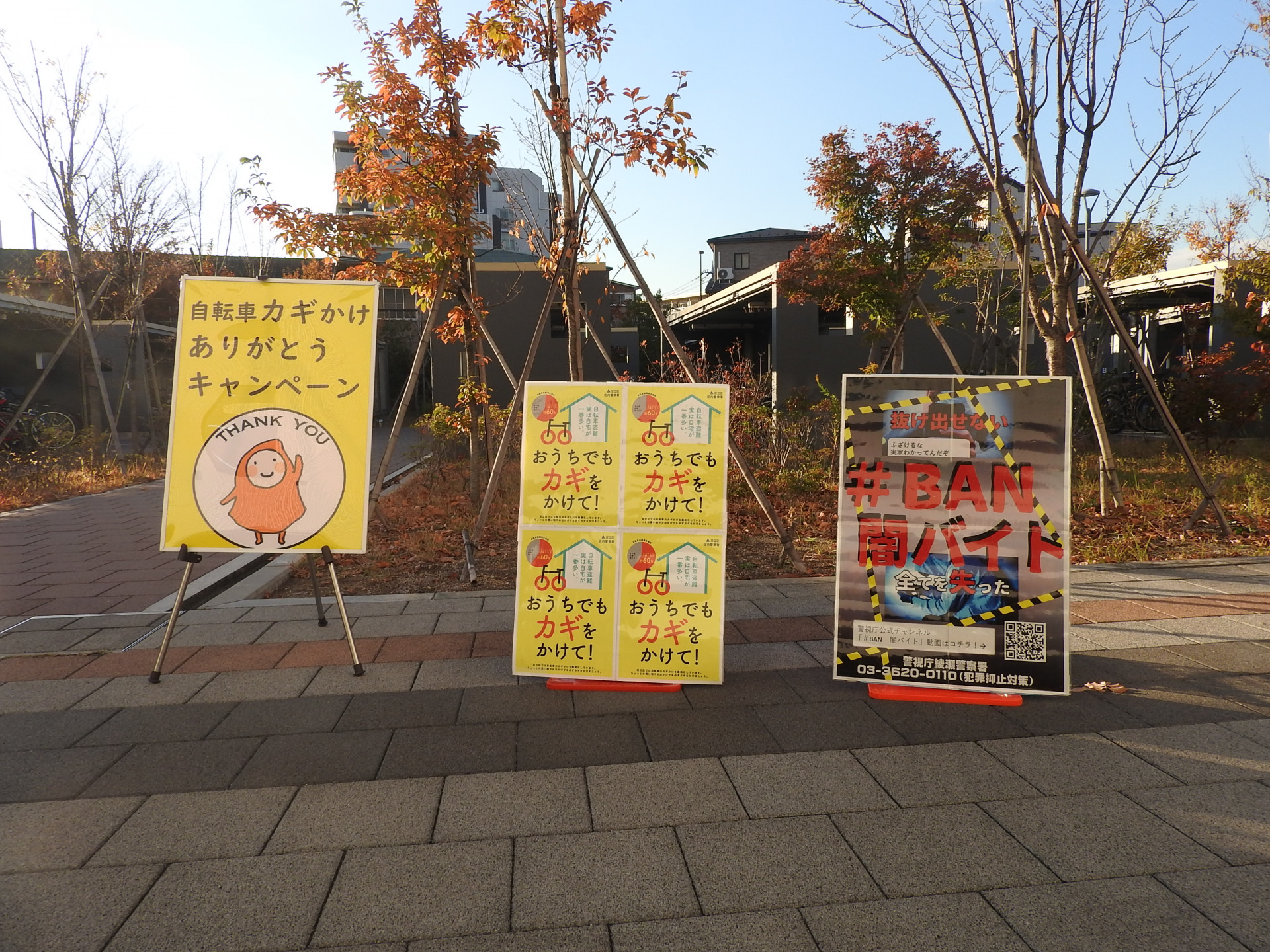 DSCN8285.JPG