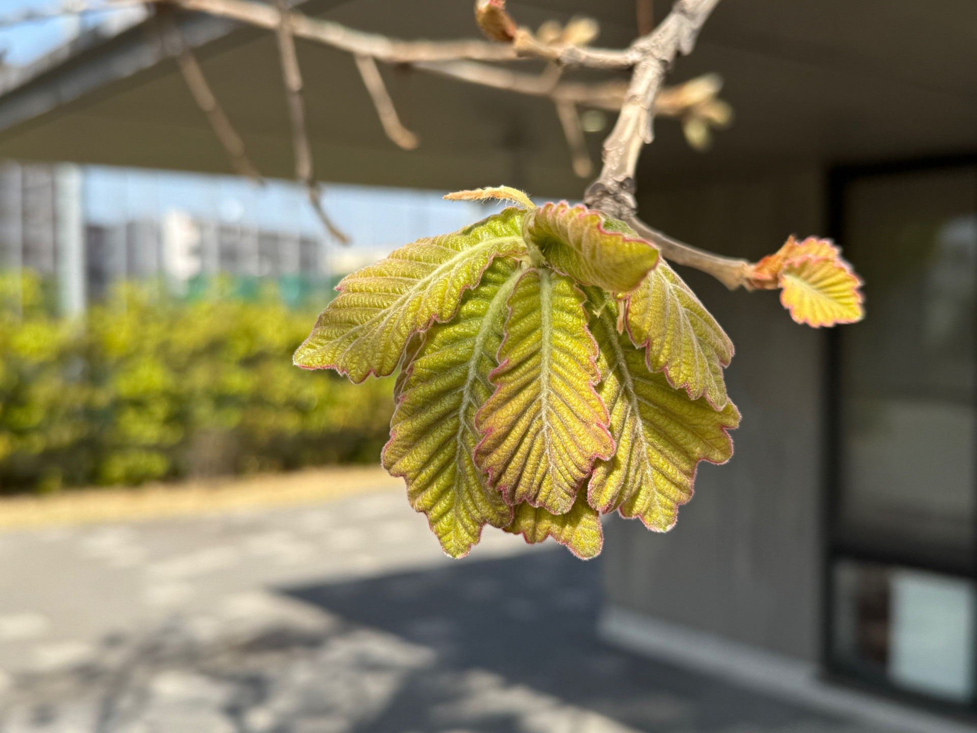 ②