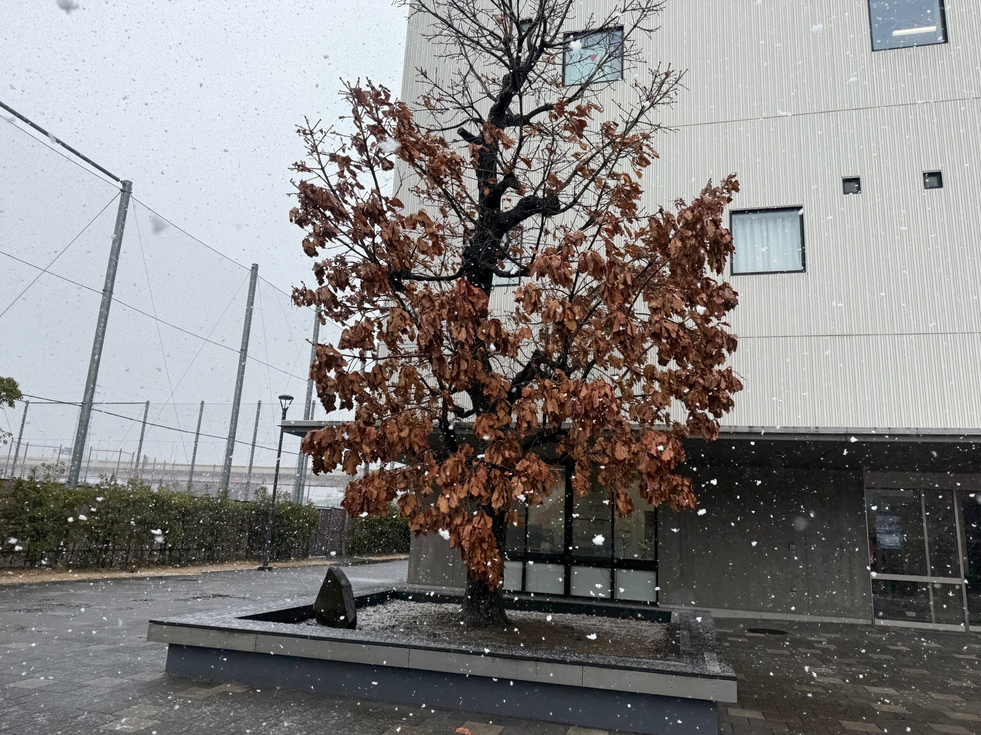 ③