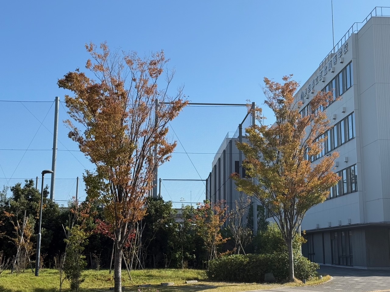 ④