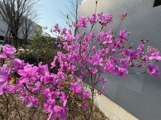 ⑥