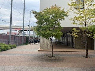 ⑥