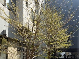 ⑧