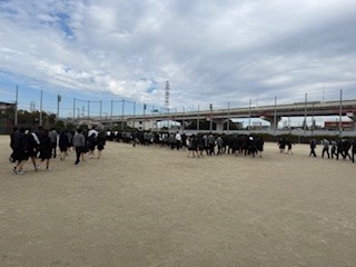 ⑧