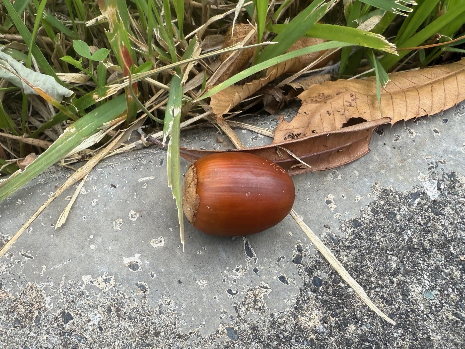 １２３３１２３１