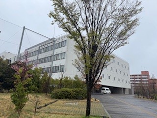 ６