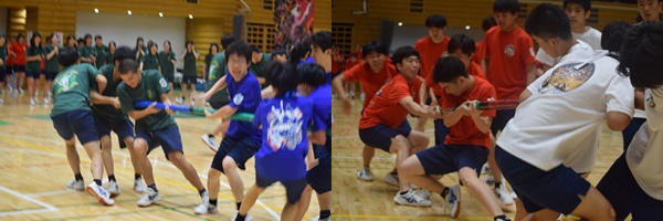 6年男子棒引き