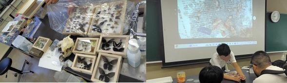 創作展生物