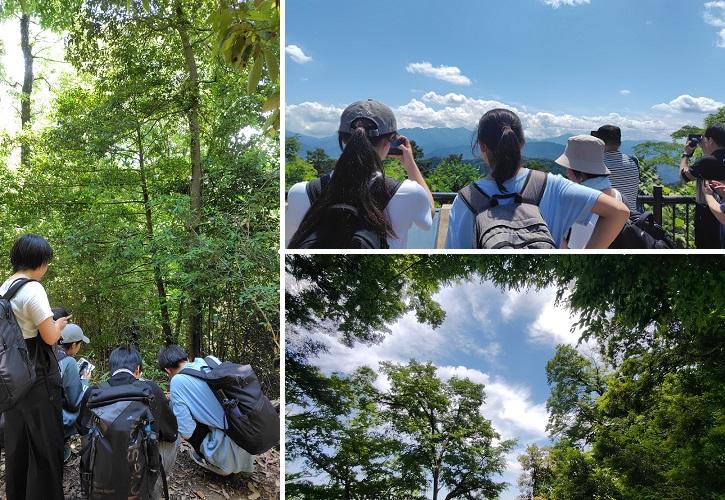 初夏の高尾山