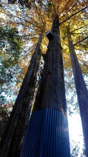 まったり森林科学園