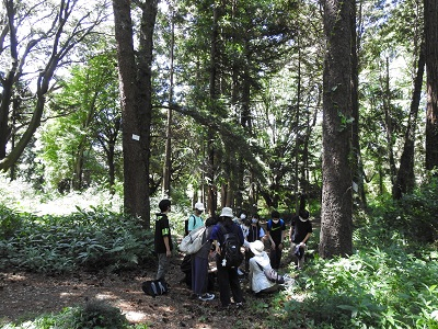 小石川植物園1