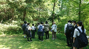 小石川植物園top