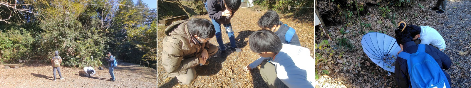 森林科学園１
