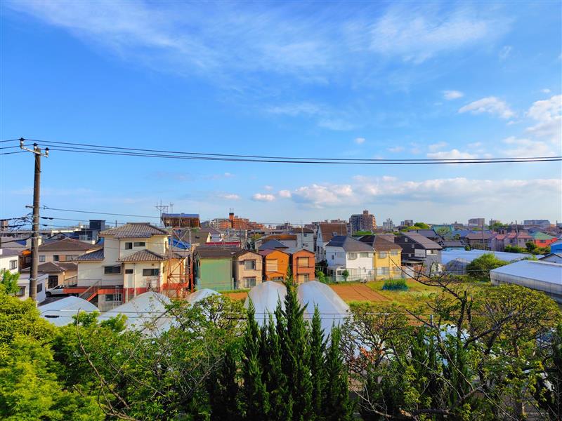 d5c91647-3162-46ae-bb2a-c19e492de684