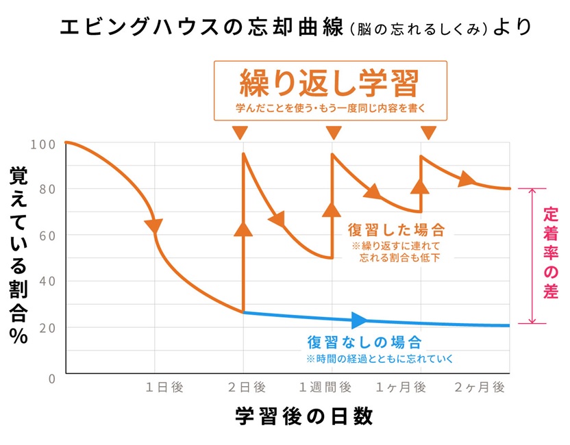 エビングハウス