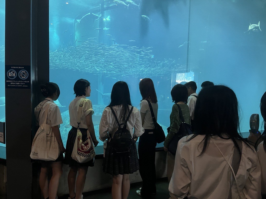 水族館１