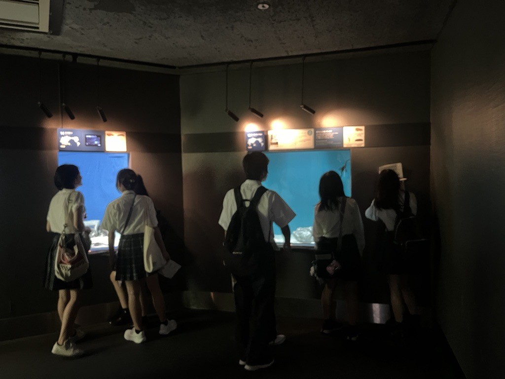水族館２