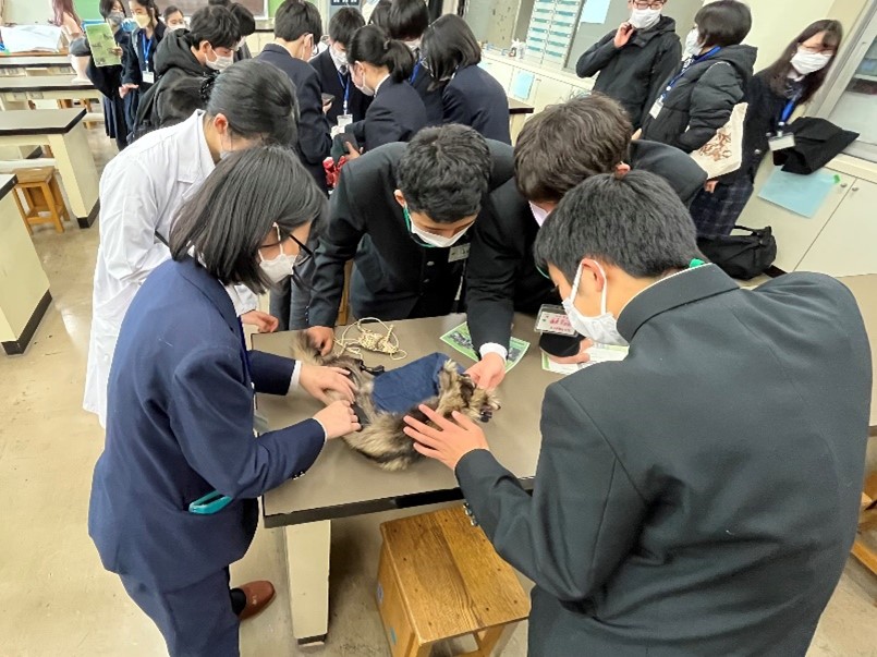 画像3