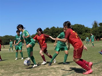 画像7