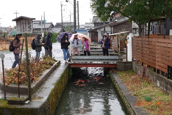 画像8
