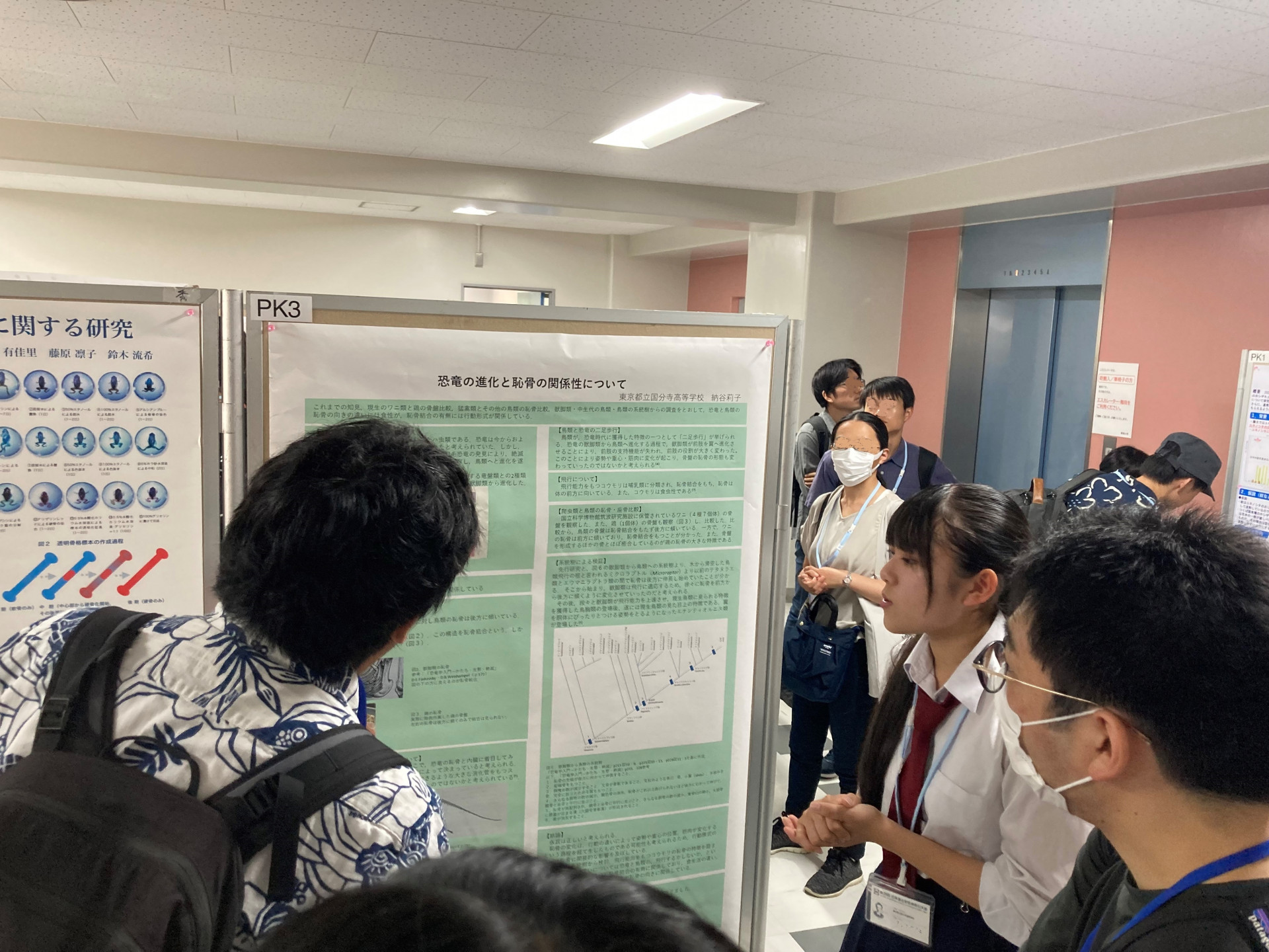 進化学会