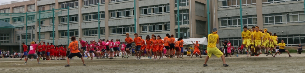 木もれ陽祭の写真