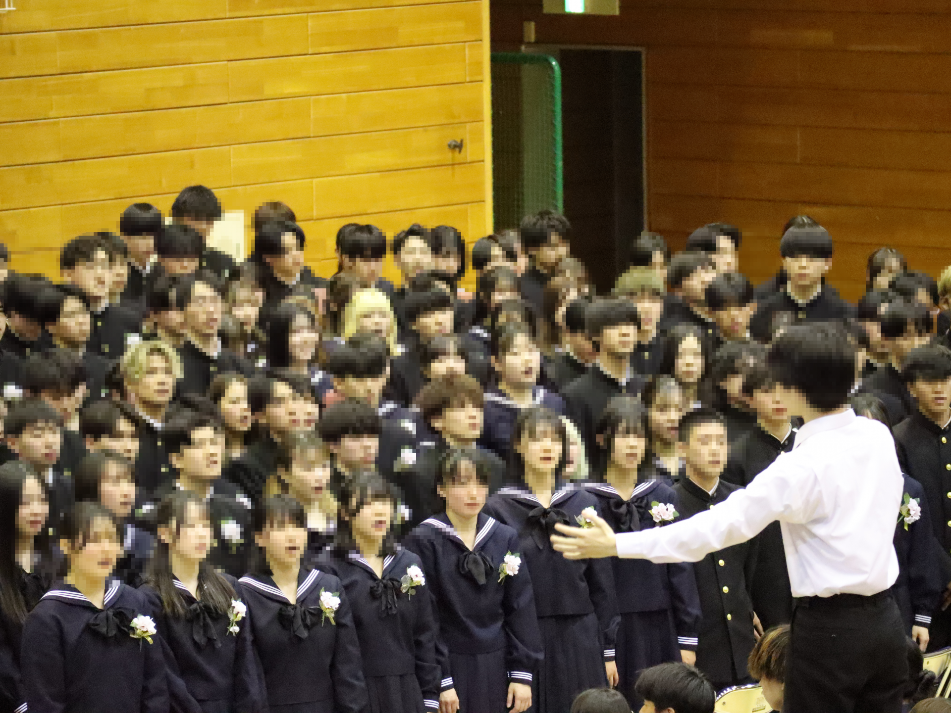 mosaic_20260317160548