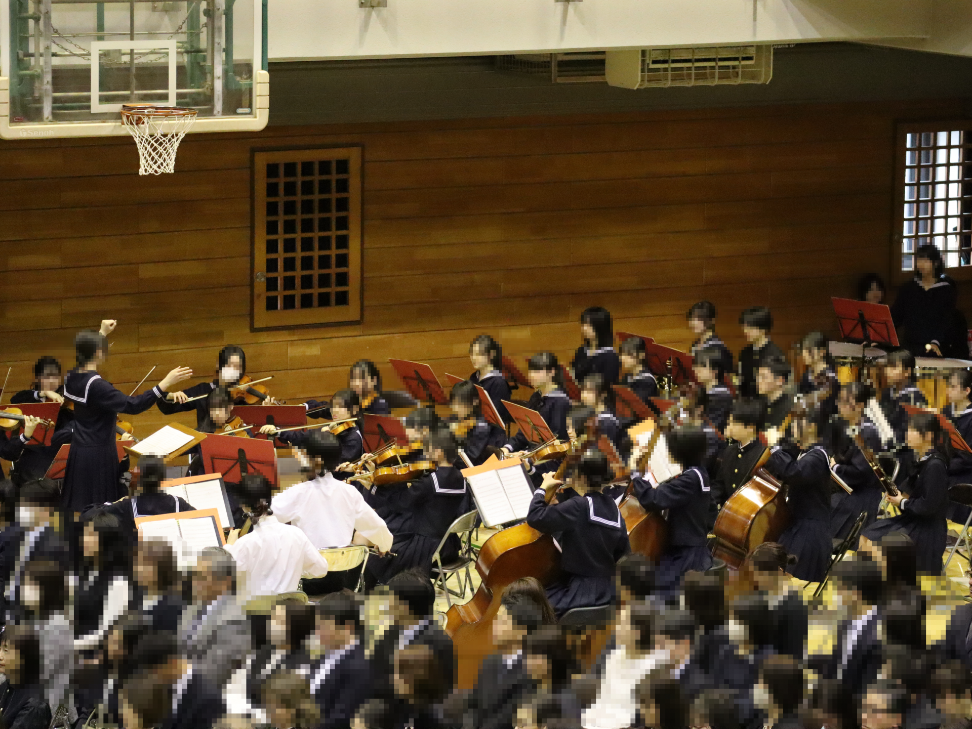 mosaic_20260317161250