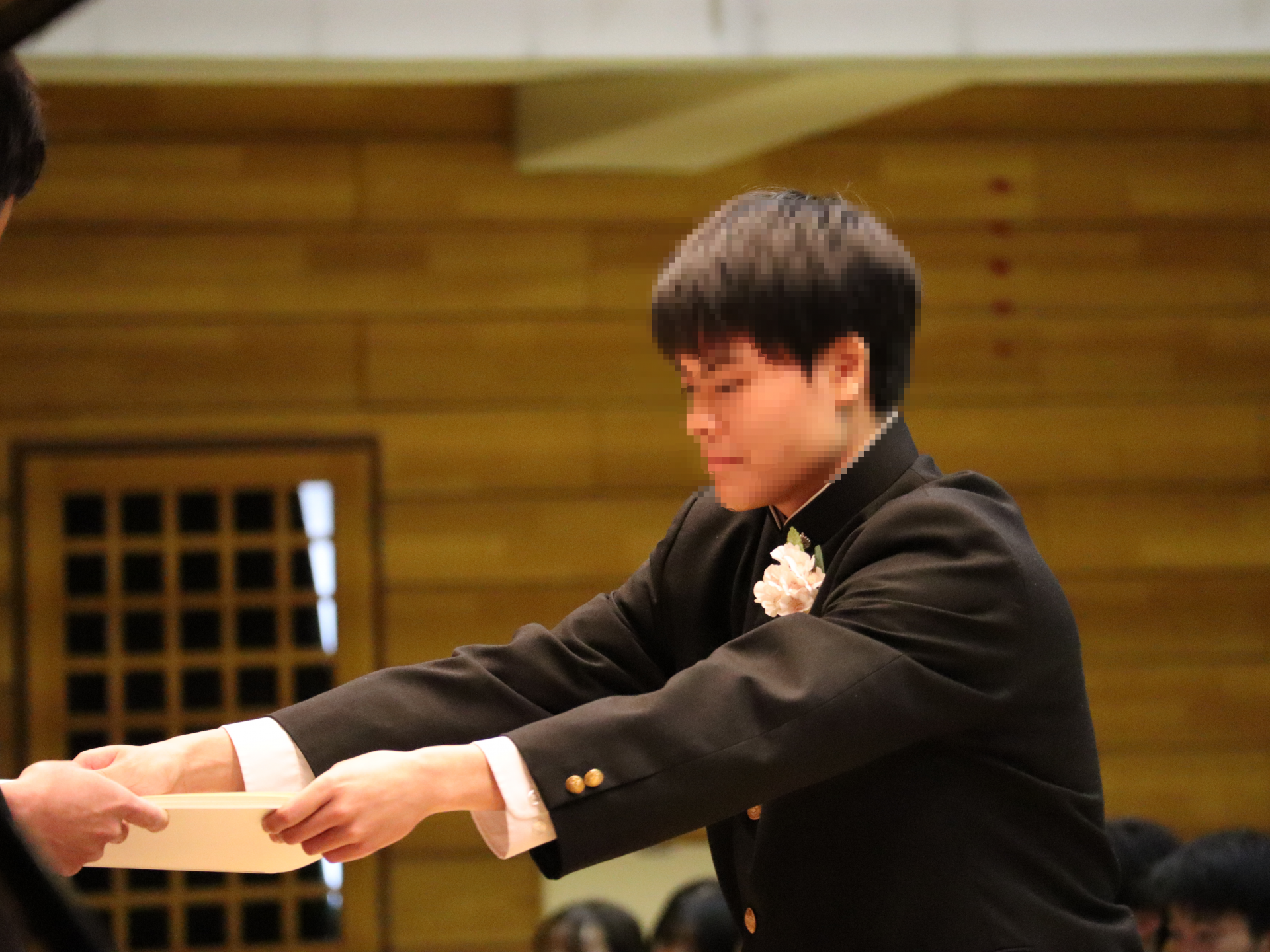 mosaic_20260317162711