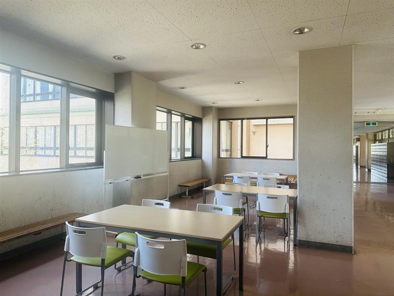 Image - 2026-04-03T230508.611