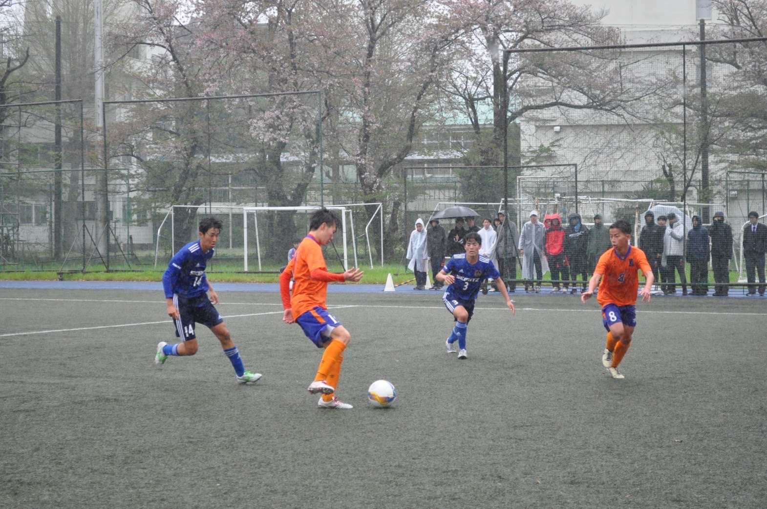 IMG_6166.JPG