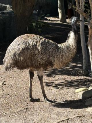 IMG_5986.JPG