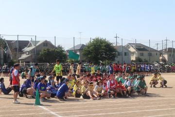 @HP_38色別-0