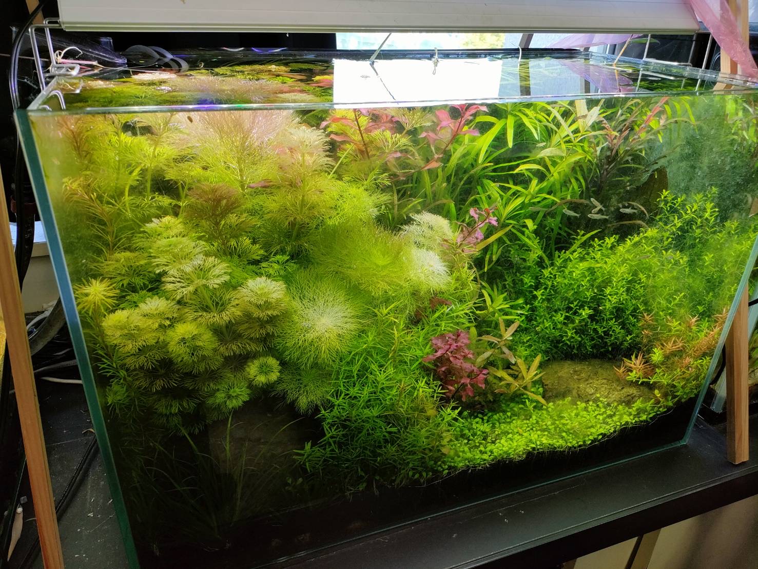 2024生物