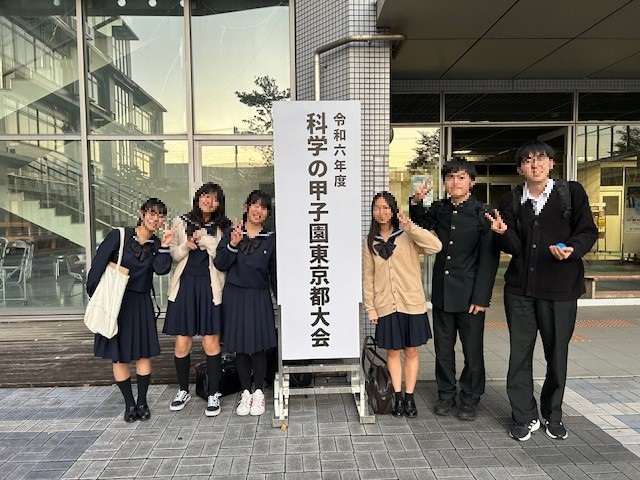 HP用11.33