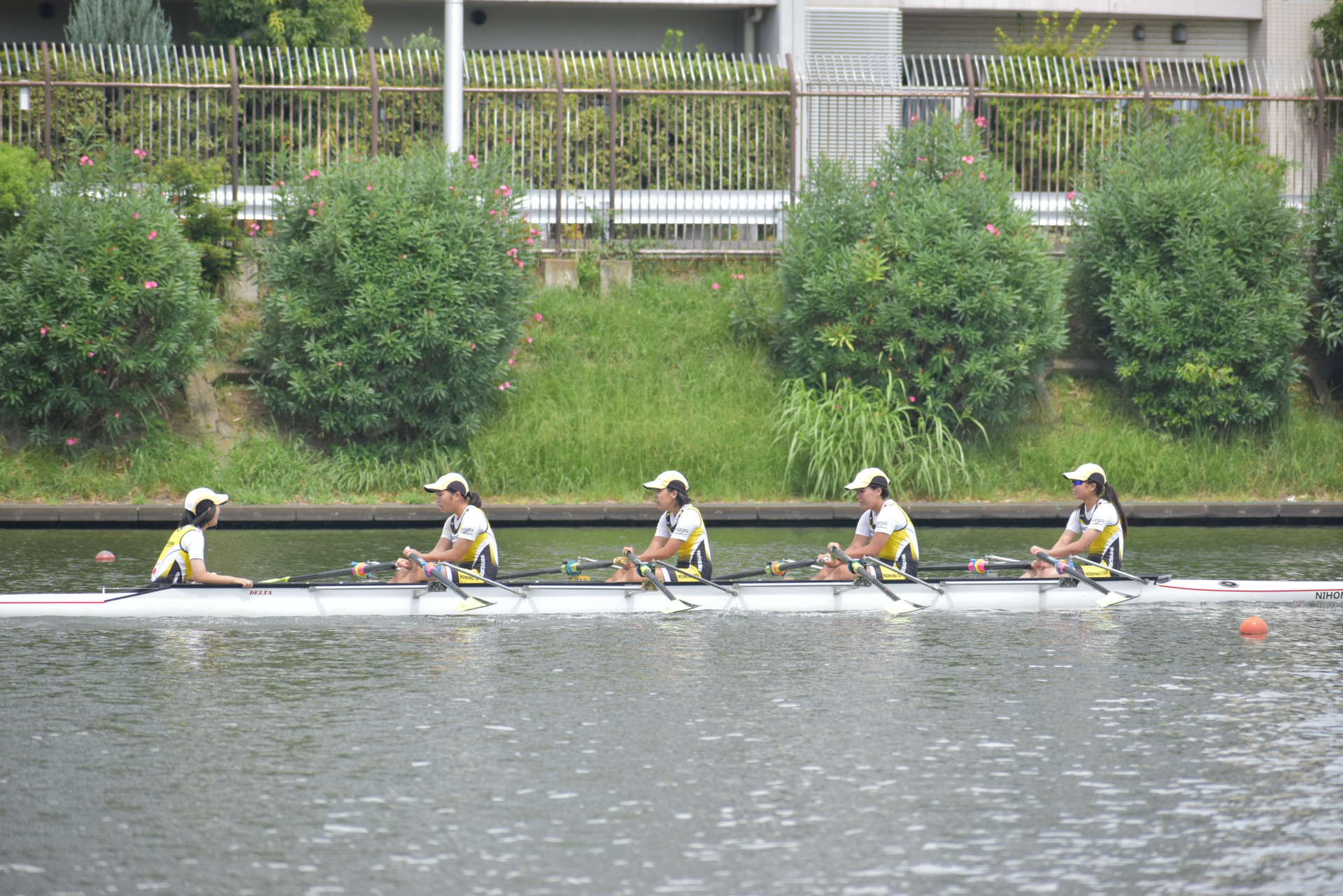 W4x＋.JPG