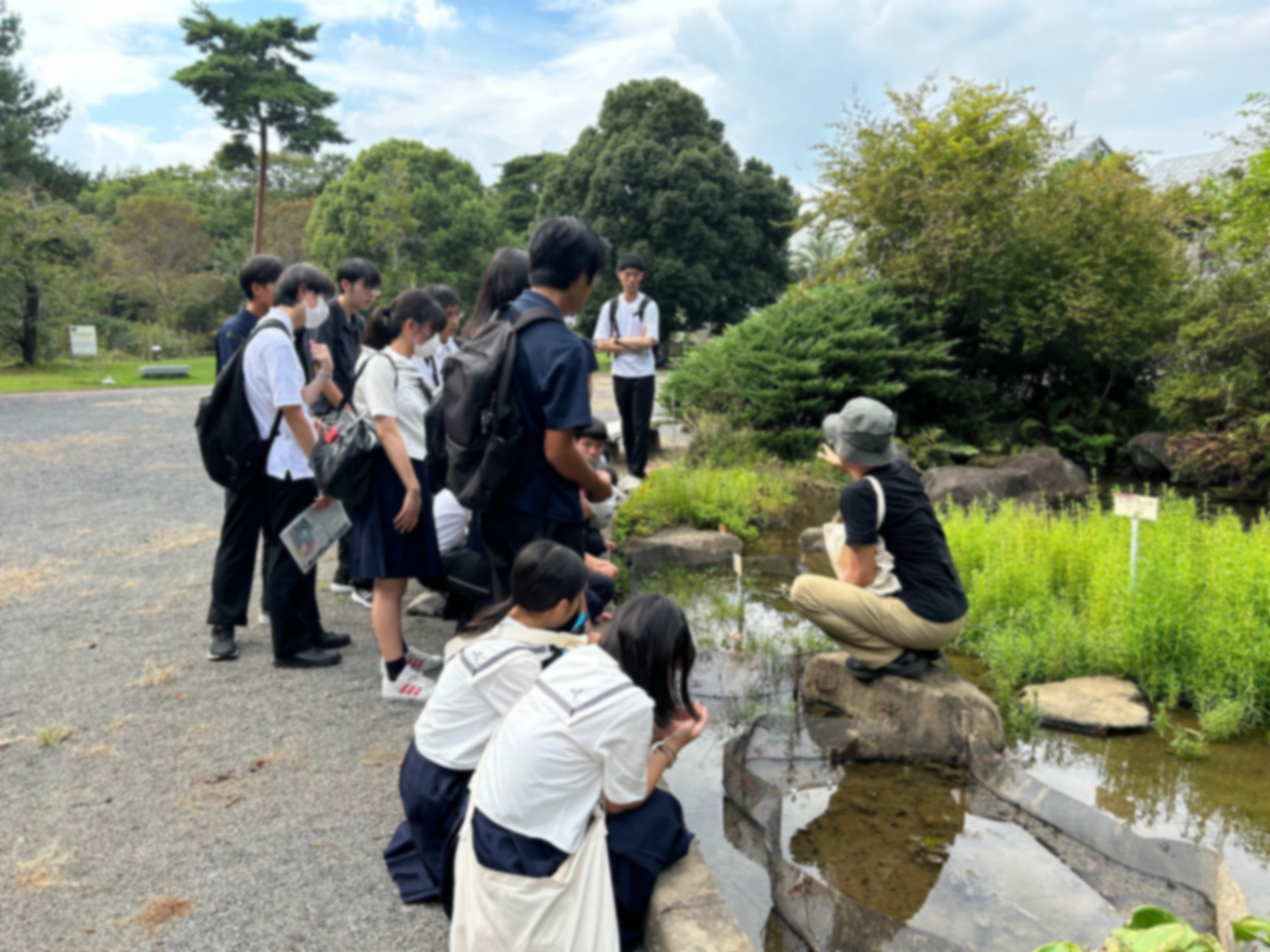 植物へ