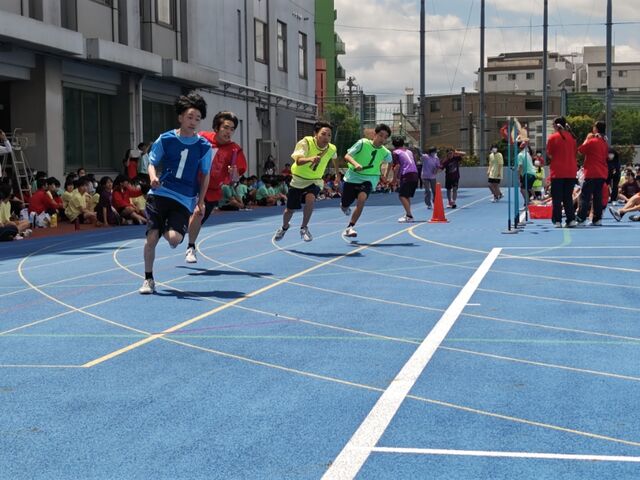 sports6