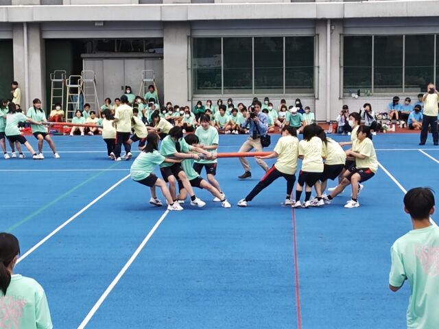 sports8
