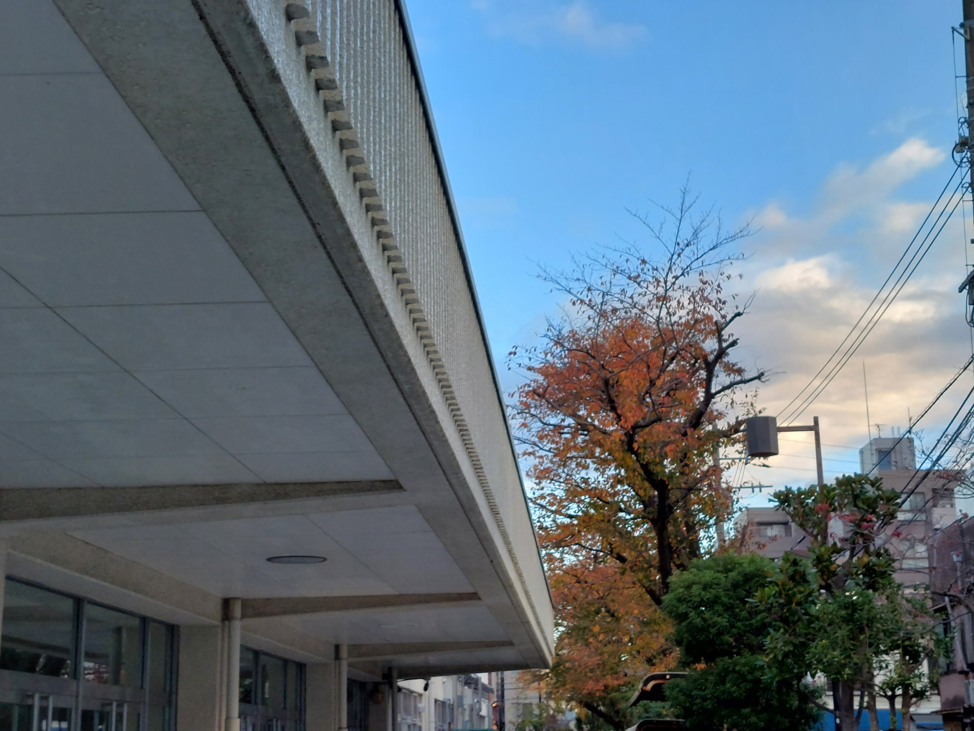 20231125_070247