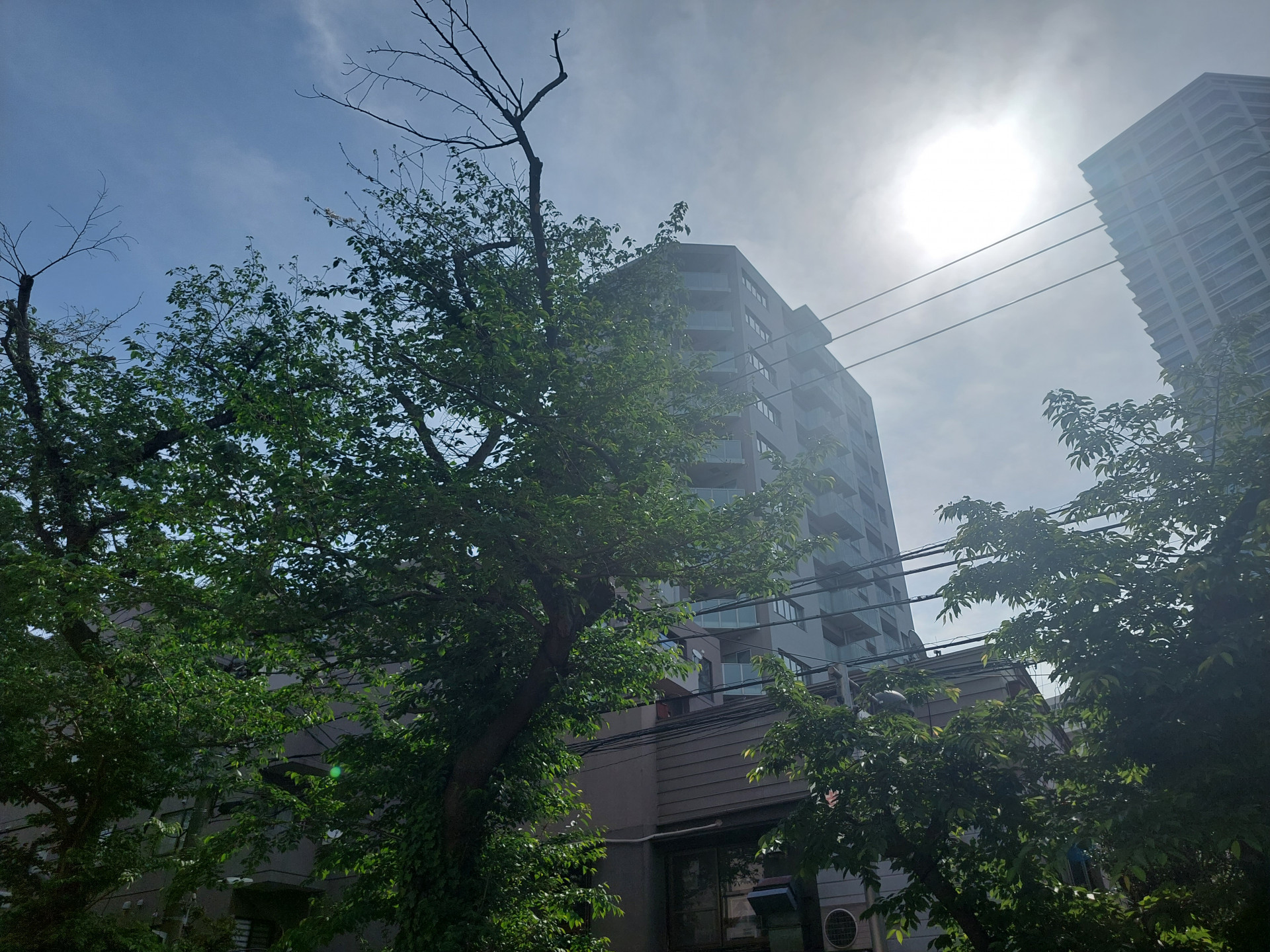 20240429_084736