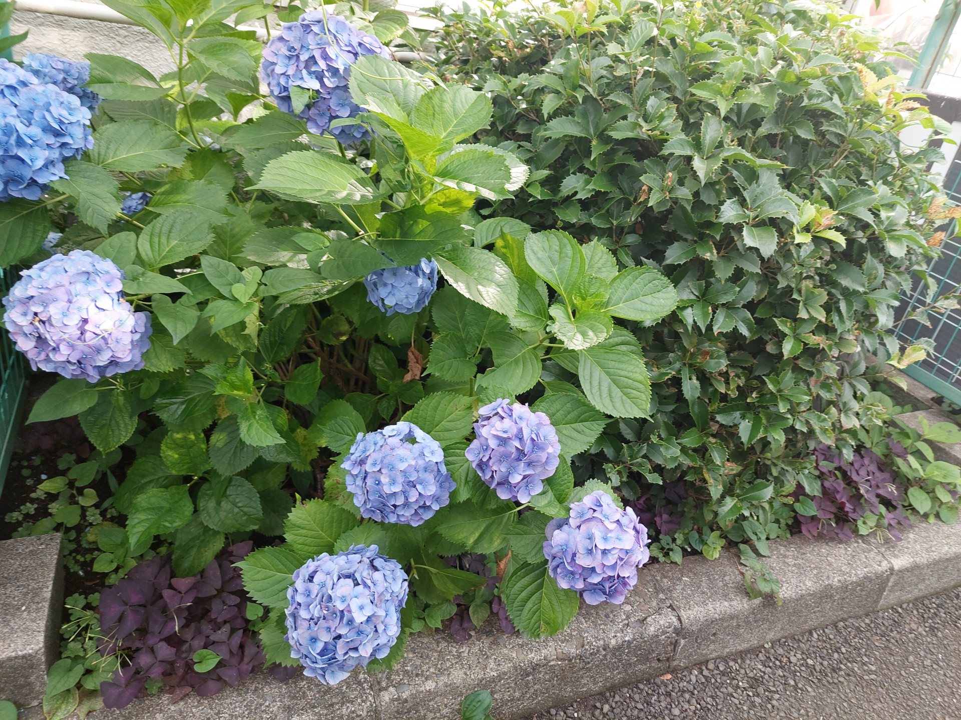 20240617_070459