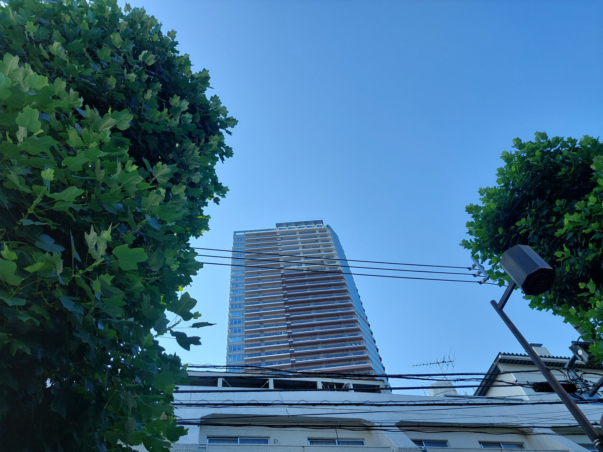 20240722_070747