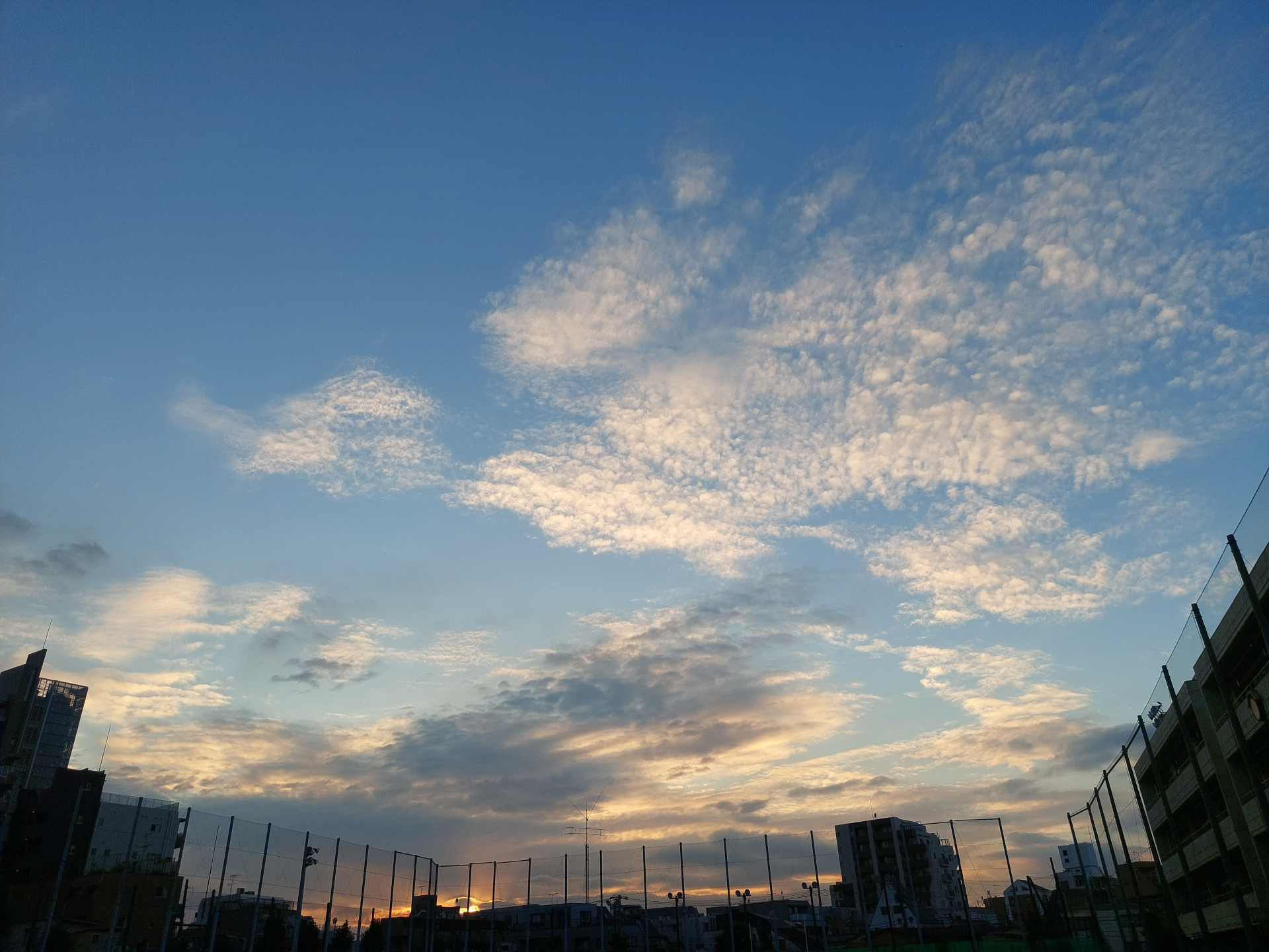20240926_171017